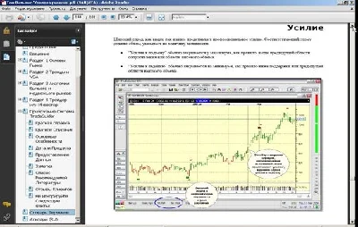 T. Williams "Owners markets" [rus}