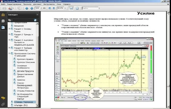 T. Williams "Owners markets" [rus}