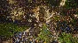SpellForce III Reforced: Complete Xbox One & Series X|S