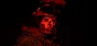 Call of Duty®: Modern Warfare® II \UA ⭐ STEAM ⭐