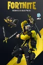 FORTNITE: «Rogue Alias» + 600 V-Bucks XBOX/Activation