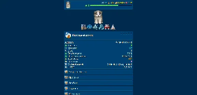 Online game My dog
