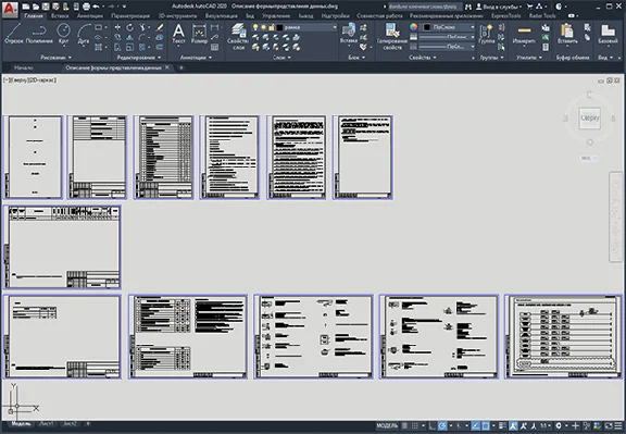 Description of the data presentation form
