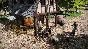 The Guild 3. STEAM-key (RU+CIS)