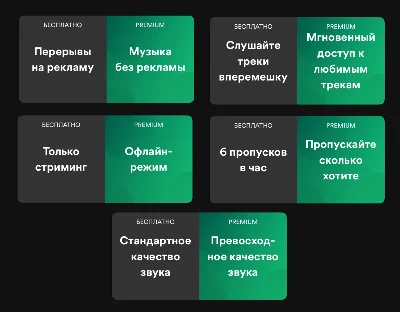 🎧🟩ПЕРСОНАЛЬНАЯ ПОДПИСКА SPOTIFY PREMIUM НА 12 МЕСЯЦЕB