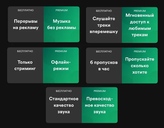 🎧🟩ПЕРСОНАЛЬНАЯ ПОДПИСКА SPOTIFY PREMIUM НА 12 МЕСЯЦЕB