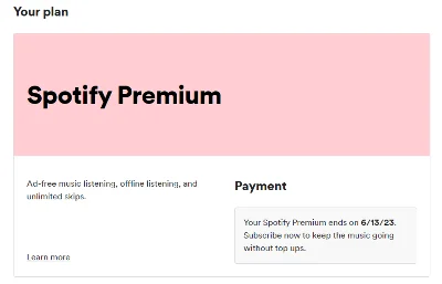 🎧🟩ПЕРСОНАЛЬНАЯ ПОДПИСКА SPOTIFY PREMIUM НА 12 МЕСЯЦЕB
