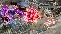Tekken 7 - Eliza Pre-order Bonus - DLC 💎 STEAM GIFT