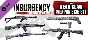 Insurgency: Sandstorm - Bear Claw Weapon Skin Set DLC |