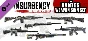 Insurgency: Sandstorm - Hunter Weapon Skin Set DLC | St