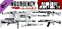 Insurgency: Sandstorm - Whiteout Weapon Skin Set DLC |