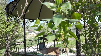 Willage 💎 АВТОДОСТАВКА STEAM GIFT РОССИЯ