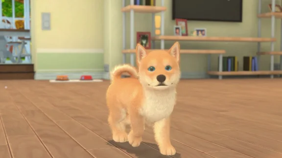 My Universe - Puppies & Kittens 💎 STEAM GIFT RU
