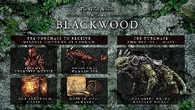 ✅The Elder Scrolls Online Collection Blackwood CE XBOX