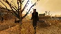 POSTAL 2: Paradise Lost DLC (Steam key / Region Free)