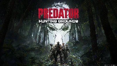 ✅  Predator: Hunting Grounds STEAM GLOBAL🌎RU+CIS 0%💳