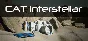 CAT Interstellar 💎 АВТОДОСТАВКА STEAM GIFT РОССИЯ
