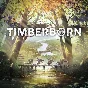 Timberborn Soundtrack | Steam Gift Россия