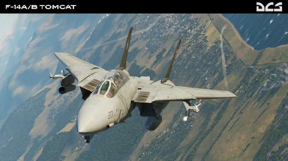 DCS: F-14 by Heatblur Simulations DLC | Steam Gift Russ