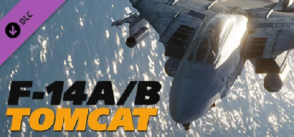 DCS: F-14 by Heatblur Simulations DLC | Steam Gift Russ