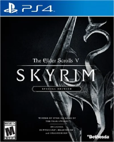 The Elder Scrolls V: Skyrim Special Edition PS4 USA