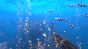 Depth - Wilhelm Diver 💎 DLC STEAM GIFT RU