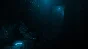 ColdSide 💎 АВТОДОСТАВКА STEAM GIFT РОССИЯ