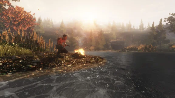 Subsistence | Steam Gift Russia