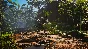 Biomutant - Mercenary Class DLC XBOX ONE / SERIES X|S🔑