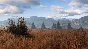 This Land Is My Land | Steam Gift Russia