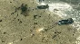 Sudden Strike 4 | Steam Gift Russia
