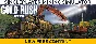 Gold Rush: The Game | Steam Gift Russia
