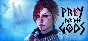 Praey for the Gods 💎 STEAM GIFT FOR RUSSIA