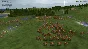 Dominions 5 | Steam Gift Россия
