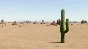 The Long Drive | Steam Gift Россия