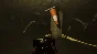 MADiSON | Steam Gift Россия