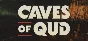 Caves of Qud | Steam Gift Russia