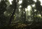 Risen | Steam Gift Россия