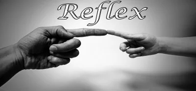 Reflex | Steam Gift Russia