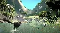 Lost Ember + Lost Ember VR Edition 💎 STEAM РОССИЯ
