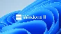✅  Windows 11 Home🔥Retail [Без комиссии]