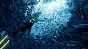 ABZU | Steam Gift Россия