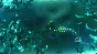 Sparkle 3: Genesis | Steam Gift Russia