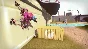 Gear Up: Premium | Steam Gift Россия