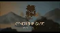 Scroll Of Taiwu - OST DLC | Steam Gift Russia
