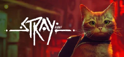 ⭐STRAY⭐❤️STEAM❤️