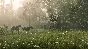 Red Dead Redemption 2: Ultimate Edition (Steam RU)