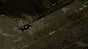 ⚡️Project Zomboid | АВТОДОСТАВКА [Россия - Steam Gift]