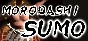 MORODASHI SUMO 💎 STEAM GIFT RU