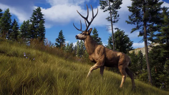 Way of the Hunter Elite Edition + DLC | АВТОВЫДАЧА 24/7
